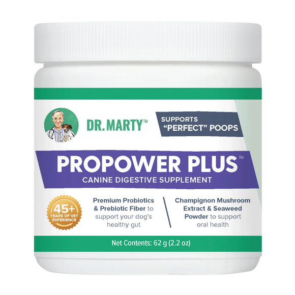 Dr. Marty ProPower Plus Canine Digestive Supplement For Dogs