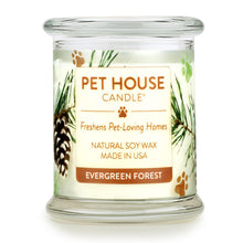 Pet House Evergreen Forest Pet Odor Candle