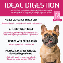 SquarePet Veterinarian Formulated Ideal Digestion Formula Grain Inclusive Dry Dog Food