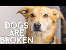 Bones & Co Bark Boost Greens Grain Free Dog Treat Supplement