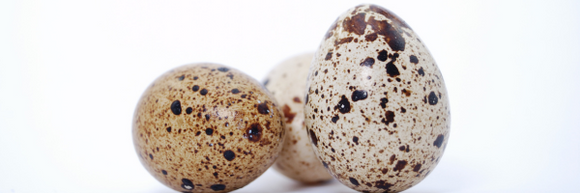 The BIG Benefits of Tiny Quail Eggs
