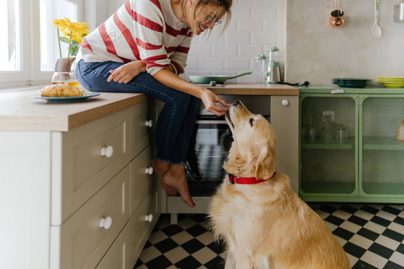 A Look at the Benefits of Omega 3 for Your Dog