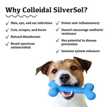 Adored Beast Apothecary Colloidal SilverSol MRET Activated Drop For Dogs And Cats