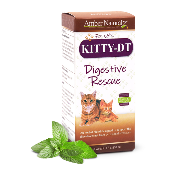 Amber NaturalZ Kitty-DT Digestive Rescue For Cats