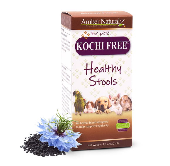 Amber NaturalZ Kochi Free Healthy Stools For Dogs & Cats