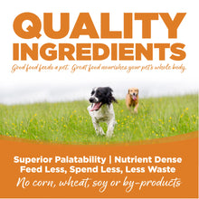 Nutrisource Lamb Meal And Rice Formula Grain Inclusive Dry Food For Dogs