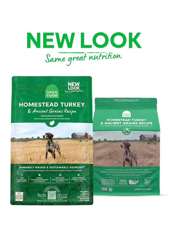 Open Farm Homestead Turkey And Ancient Grain Inclusive Dry Food For Dogs