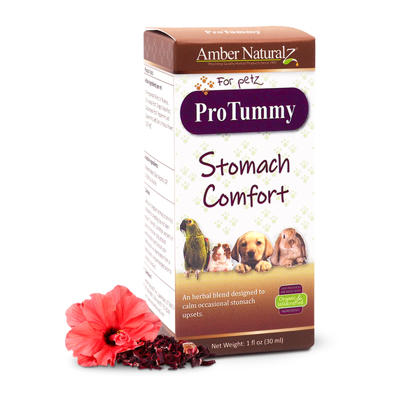 Amber NaturalZ ProTummy Stomach Comfort For Dogs
