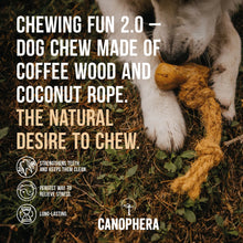 Canophera Natural Coffee Tree Wood And Coconut Rope Chew For Dogs