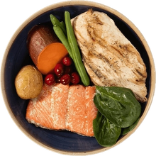 My Perfect Pet Hunters Turkey Salmon Blend Gently Cooked Grain Free Frozen Food For Dogs