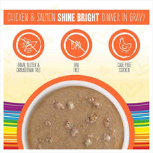 Weruva Cat Bff Omg Shine Bright! Chicken & Salmon Dinner In Gravy Grain Free Wet Cat Food