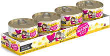 Weruva Cat BFF Play Pate Lovers Chicken, Duck & Turkey Take a Chance Dinner In A Hydrating Puree  Wet Cat Food