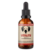MycoDog Vitality Cancer, Autoimmune Diseases, Liver & Respiratory Support Mushroom Supplement For Dogs