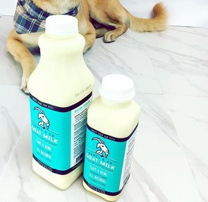 Bones & Co Frozen Raw Goat Milk Wet Dog  Supplement