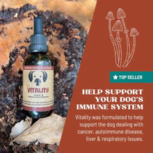 MycoDog Vitality Cancer, Autoimmune Diseases, Liver & Respiratory Support Mushroom Supplement For Dogs