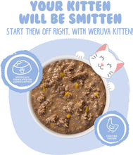Weruva Minced Kitten Chicken And Pumpkin Formula In Gravy Grain Free Wet Cat Food