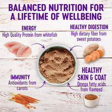 Wellness Complete Health Whitefish & Sweet Potato Formula Grain Inclusive Wet Dog Food