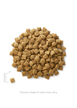 Solid Gold Holistique Blendz With Oatmeal, Pearled Barley, And Ocean Fish Grain Incusive Dry Dog Food