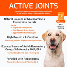 SquarePet Veterinarian Formulated Active Joints Formula Grain Free Dry Dog Food