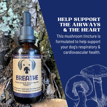 MycoDog Breathe Respiratory & Cardiovascular Support Mushroom Supplement For Dogs