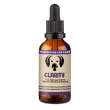 MycoDog Clarity CCD, Mental & Emotional Support Mushroom Supplement For Dogs