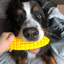 Sodapup Corn On The Cob Toy Ultra Durable Nylon Dog Chew For Aggressive Chewers - Yellow