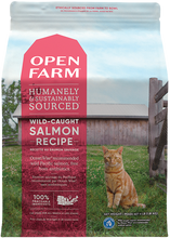 Open Farm Wild Salmon Grain Free Dry Food For Cats