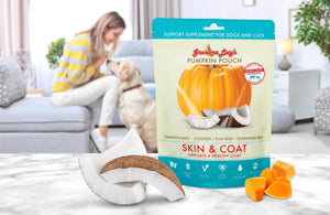 Grandma Lucy's Pumpkin Pouch Skin Coat Grain Free Dog Supplement