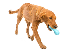 West Paw Qwizl Toppl Treat Dispensing Aqua Blue Dog Chew Toy