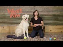West Paw Jive Aqua Blue Dog Toy