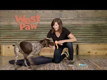 West Paw Tizzi Treat Dispensing Aqua Blue Dog Chew Toy