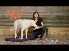 West Paw Tux Treat Dispensing Aqua Blue Dog Chew Toy