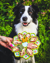 Sodapup Mandala eTray Enrichment Feeder For Dogs
