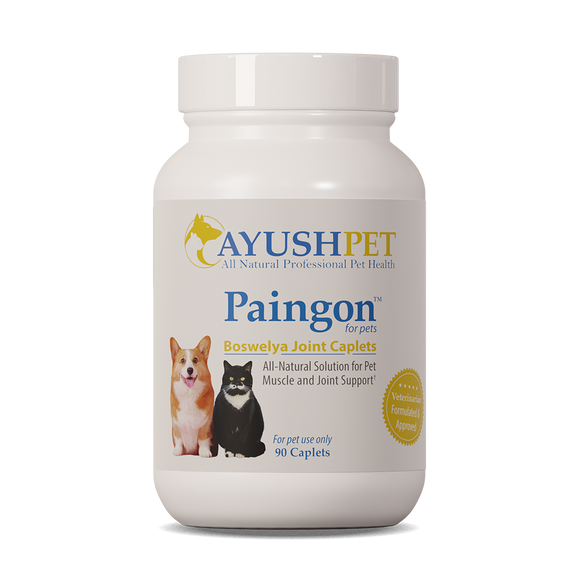 Ayush Pet Paingon For Muscolosketal Support For Pet