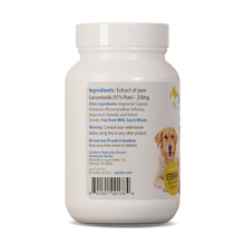 Ayush Pet Curcumin 97% For Mobility Support For Pet