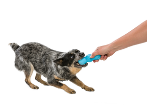 West Paw Rumpus Aqua Blue Dog Chew Toy