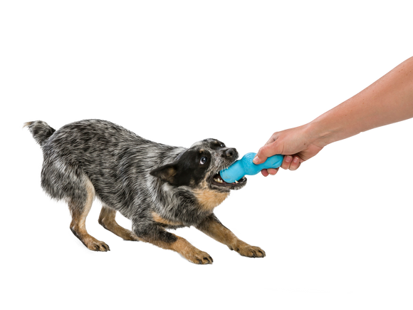 West Paw Rumpus Aqua Blue Dog Chew Toy